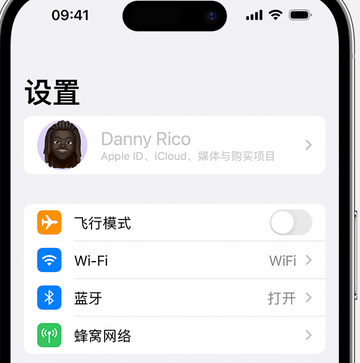 什邡appleID维修服务iPhone设置中Apple ID显示为灰色无法使用 