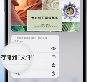 什邡apple维修中心分享iPhone文件应用中存储和找到下载文件