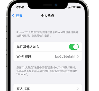 什邡apple服务站点分享iPhone上个人热点丢失了怎么办 