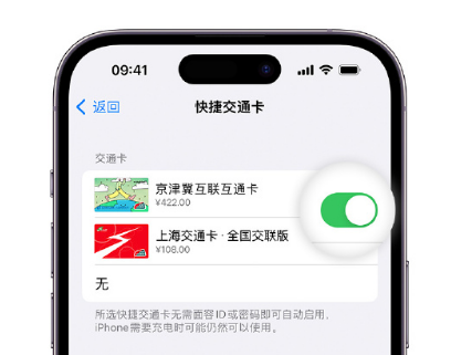 什邡apple维修点分享iPhone上更换Apple Pay快捷交通卡手绘卡面 