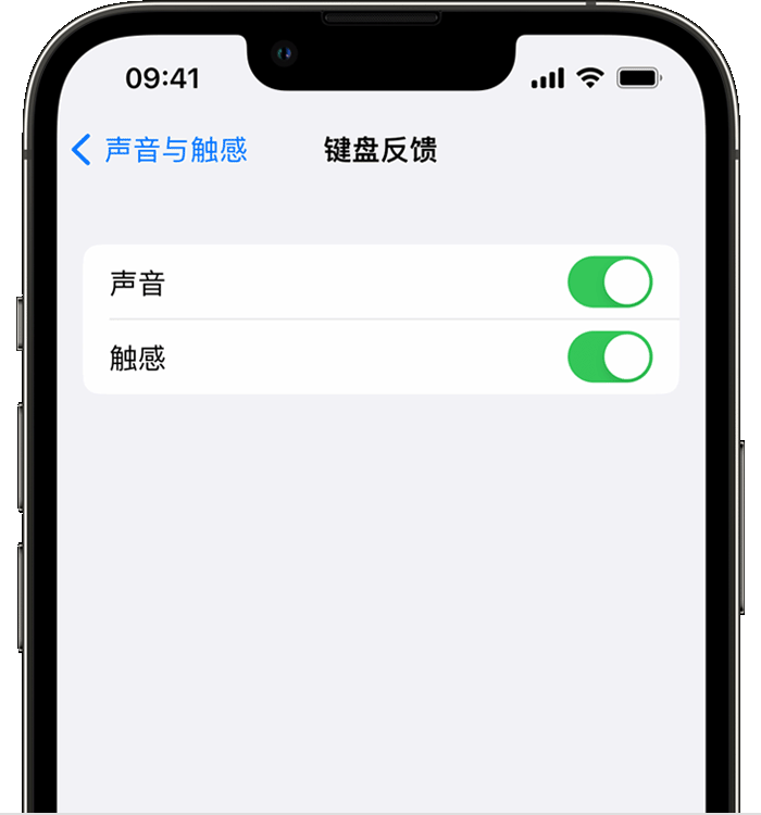 什邡苹果14维修店分享如何在 iPhone 14 机型中使用触感键盘 