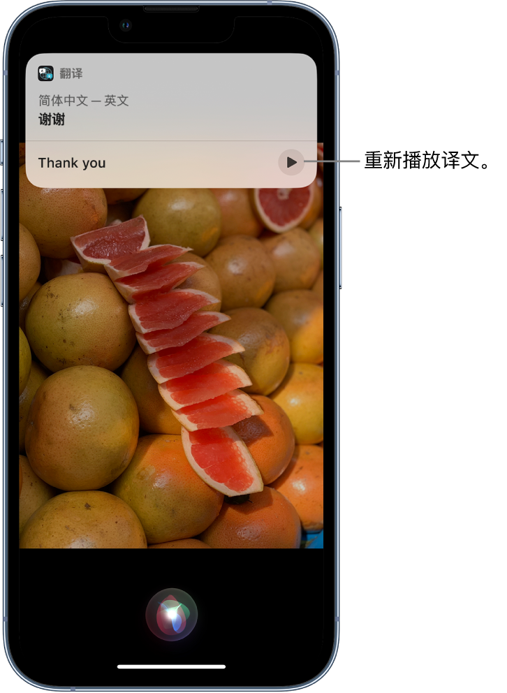 什邡苹果14维修分享 iPhone 14 机型中使用 Siri：了解 Siri 能帮你做什么 