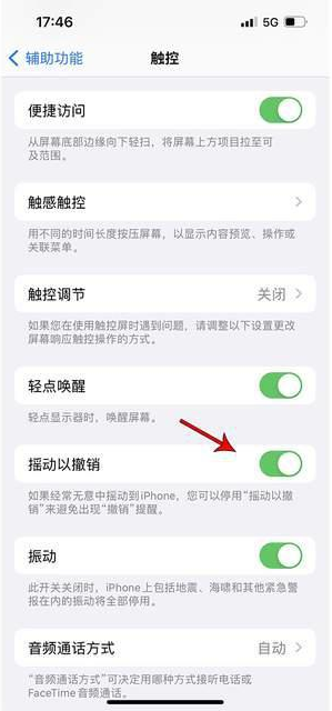 什邡苹果手机维修分享iPhone手机如何设置摇一摇删除文字 